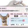 シカナンバー迷子札