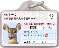 シカナンバー迷子札