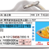 愛魚免許迷子札