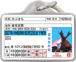 昆虫免許迷子札
