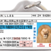 愛獅免許迷子札オモテ面サンプル①