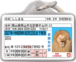 愛獅免許迷子札オモテ面サンプル①
