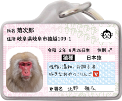 サルナンバー迷子札