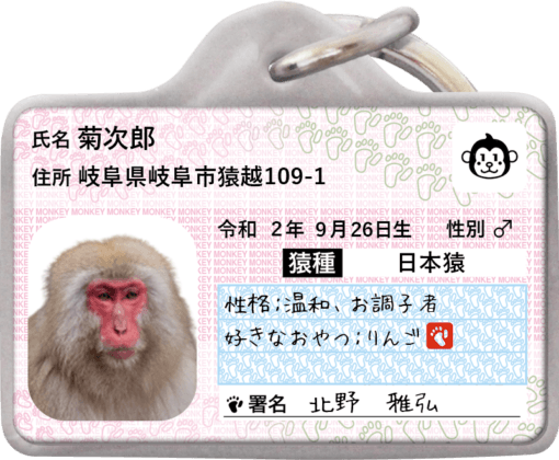 サルナンバー迷子札 | ポーミー (Pawmy)｜愛犬・愛猫・どうぶつ愛を