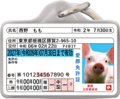 愛豚免許迷子札オモテ面サンプル①
