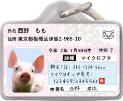 ブタナンバー迷子札