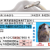 愛亀免許迷子札