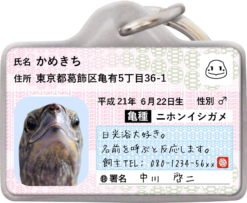 カメナンバー迷子札