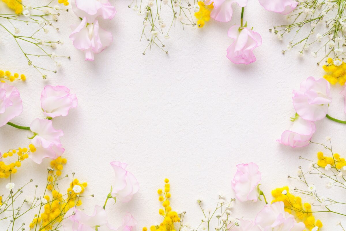 ポーミー (Pawmy)｜愛犬・愛猫・どうぶつ愛をカタチにする迷子札とオリジナルペットグッズのお店