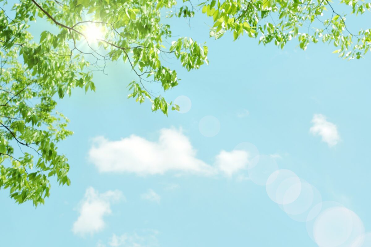 ポーミー (Pawmy)｜愛犬・愛猫・どうぶつ愛をカタチにする迷子札とオリジナルペットグッズのお店