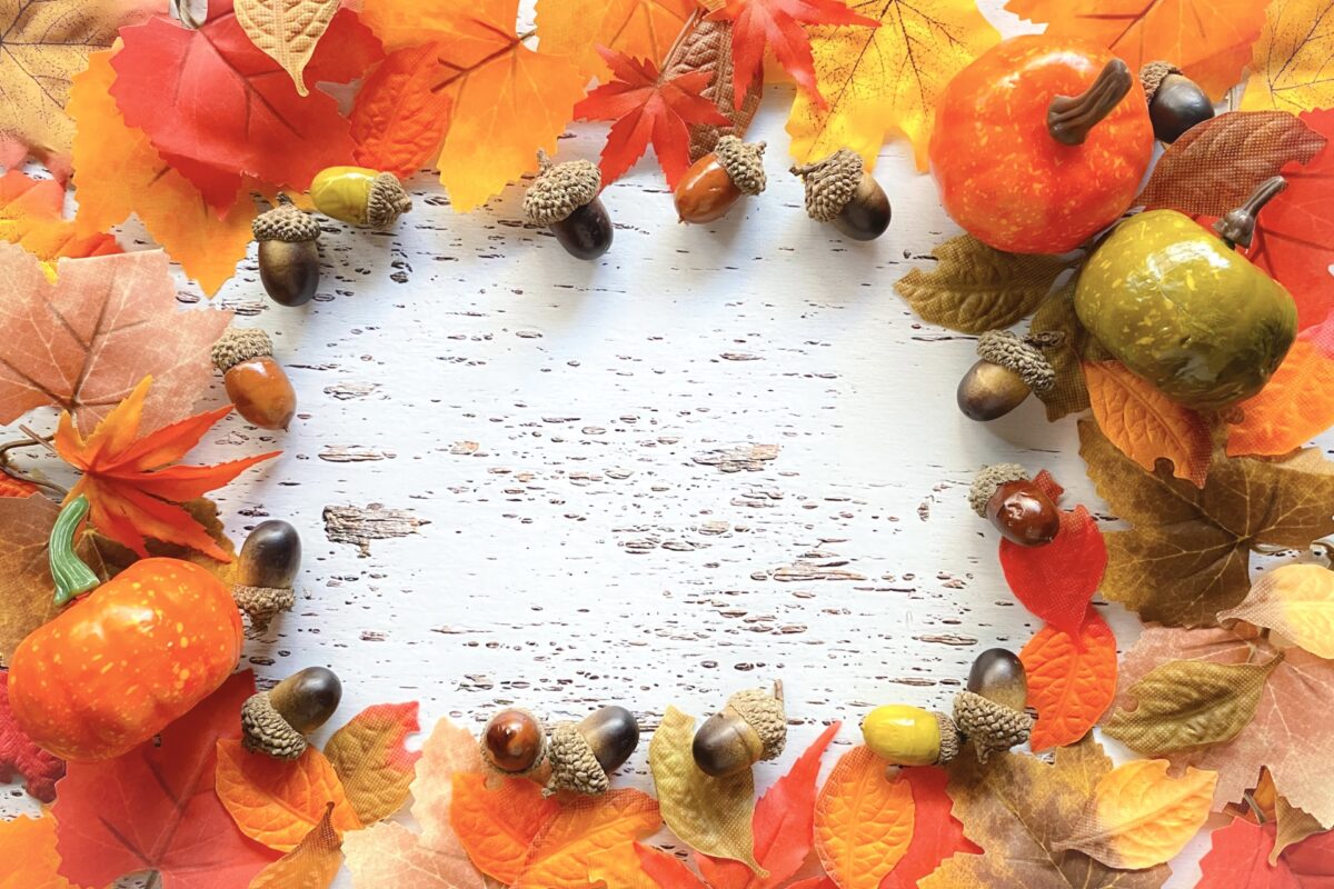 ポーミー (Pawmy)｜愛犬・愛猫・どうぶつ愛をカタチにする迷子札とオリジナルペットグッズのお店