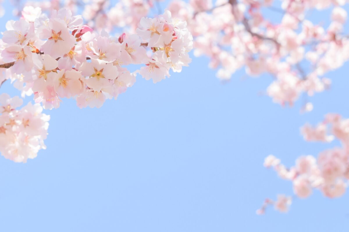 ポーミー (Pawmy)｜愛犬・愛猫・どうぶつ愛をカタチにする迷子札とオリジナルペットグッズのお店