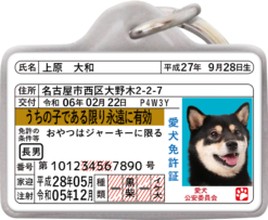 迷子札 犬