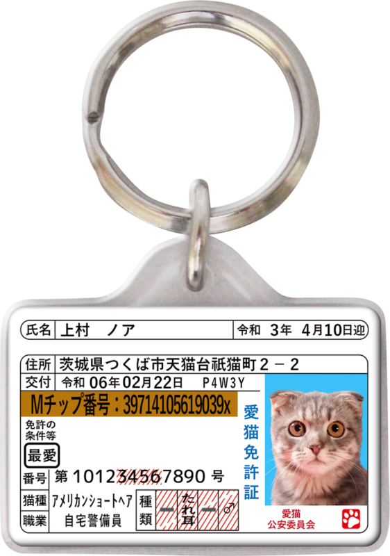 ポーミー (Pawmy)｜愛犬・愛猫・どうぶつ愛をカタチにする迷子札とオリジナルペットグッズのお店