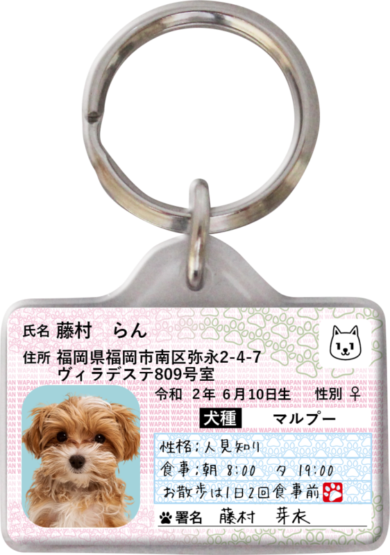 ポーミー (Pawmy)｜愛犬・愛猫・どうぶつ愛をカタチにする迷子札とオリジナルペットグッズのお店