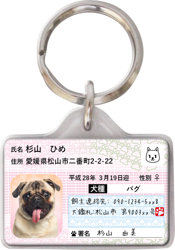 ポーミー (Pawmy)｜愛犬・愛猫・どうぶつ愛をカタチにする迷子札とオリジナルペットグッズのお店