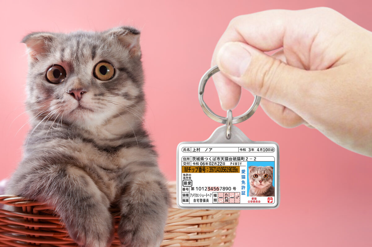 ポーミー (Pawmy)｜愛犬・愛猫・どうぶつ愛をカタチにする迷子札とオリジナルペットグッズのお店