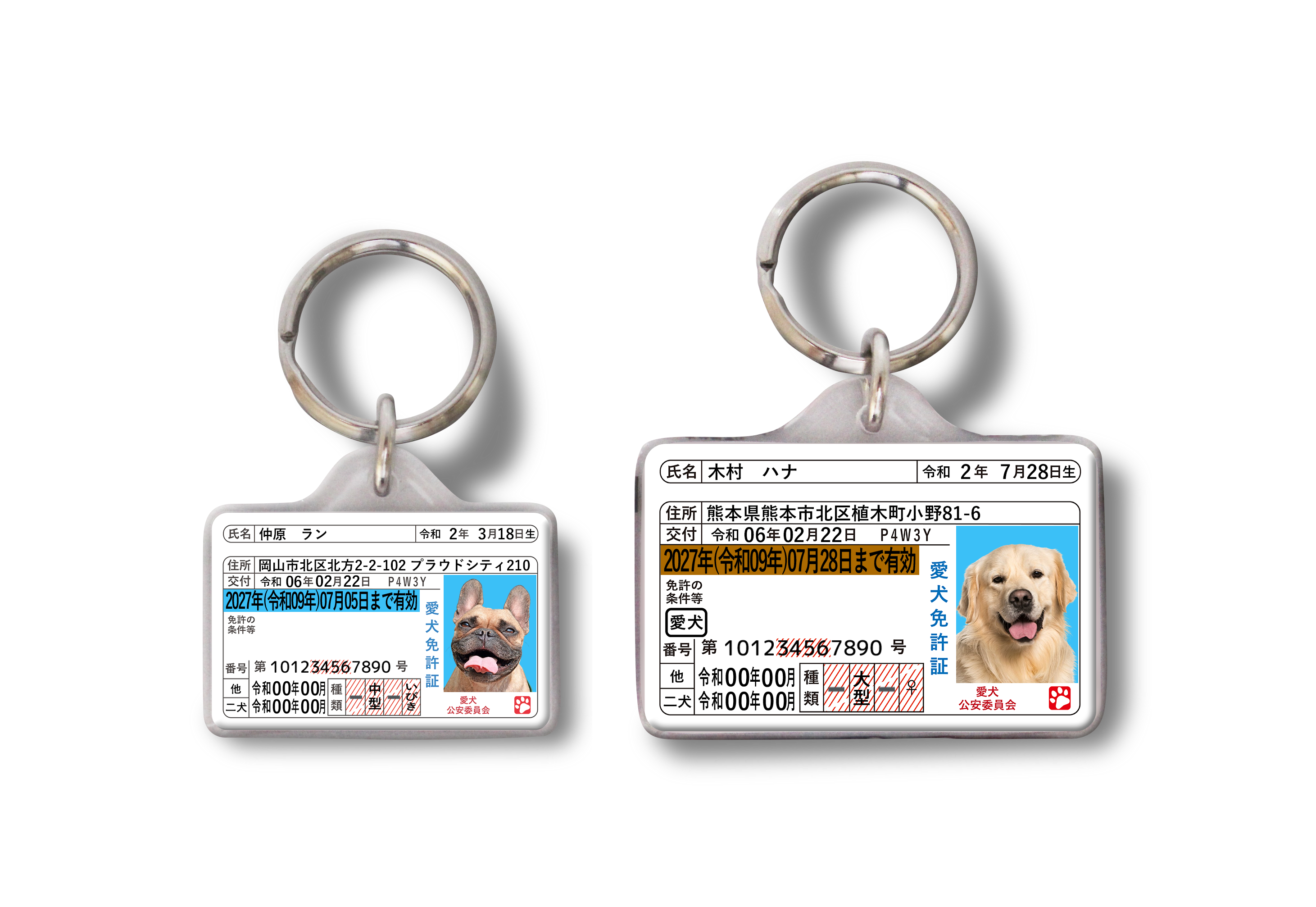 愛犬免許迷子札（犬）