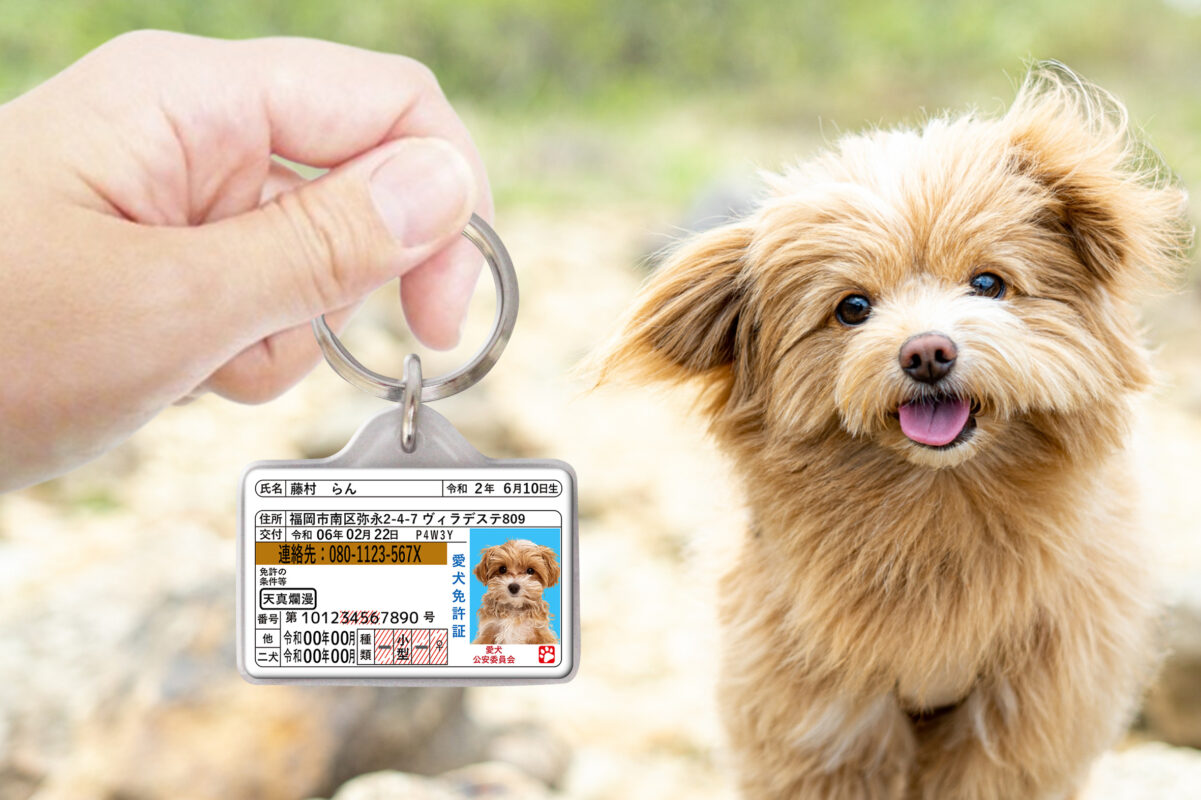 ポーミー (Pawmy)｜愛犬・愛猫・どうぶつ愛をカタチにする迷子札とオリジナルペットグッズのお店