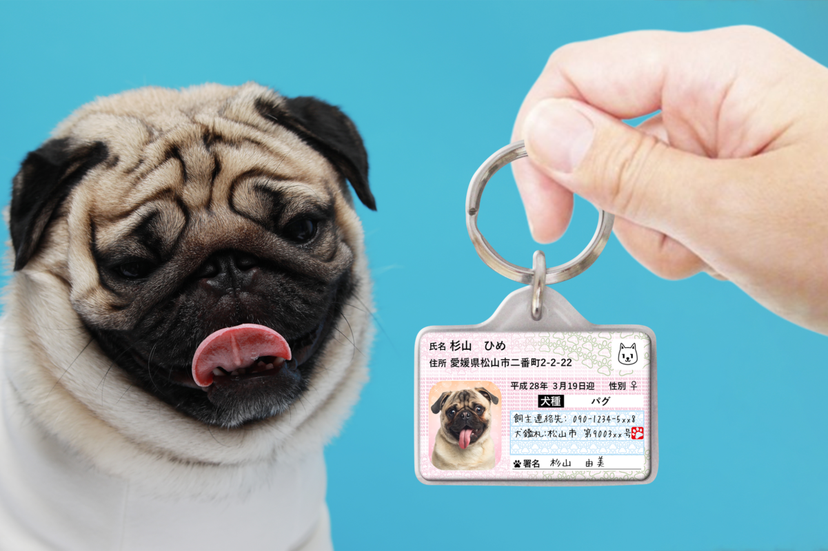 ポーミー (Pawmy)｜愛犬・愛猫・どうぶつ愛をカタチにする迷子札とオリジナルペットグッズのお店