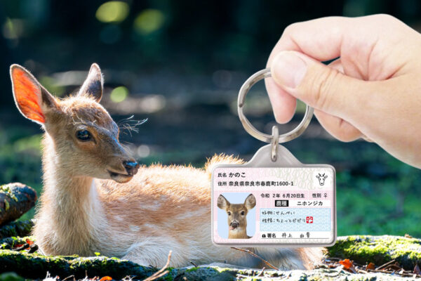 シカナンバー迷子札