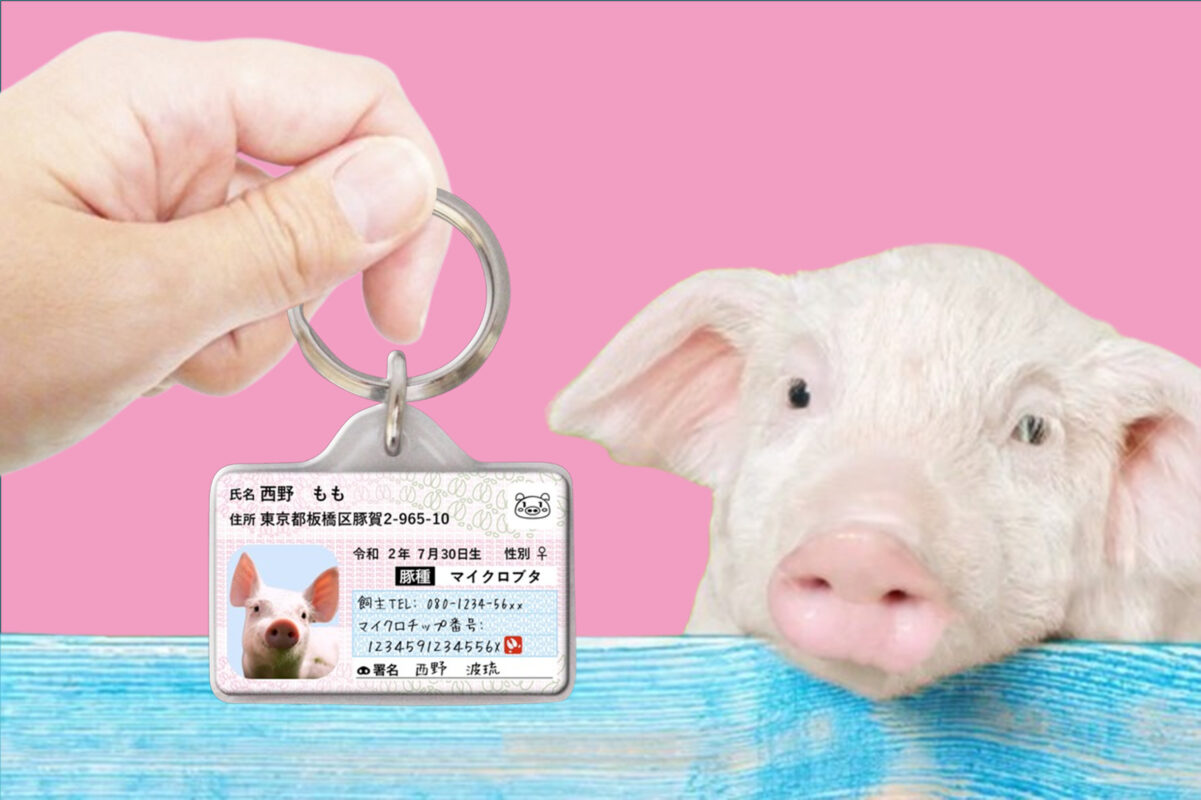 ポーミー (Pawmy)｜愛犬・愛猫・どうぶつ愛をカタチにする迷子札とオリジナルペットグッズのお店