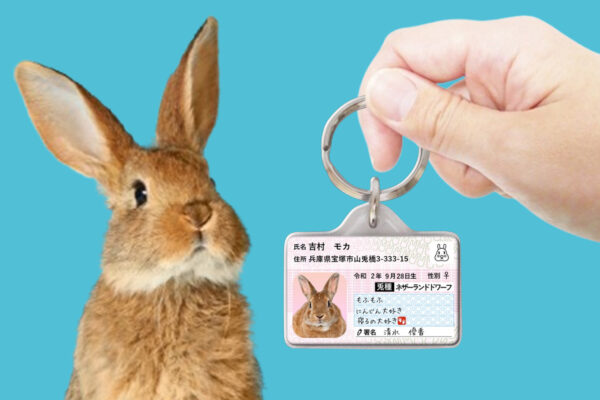 ウサナンバー迷子札