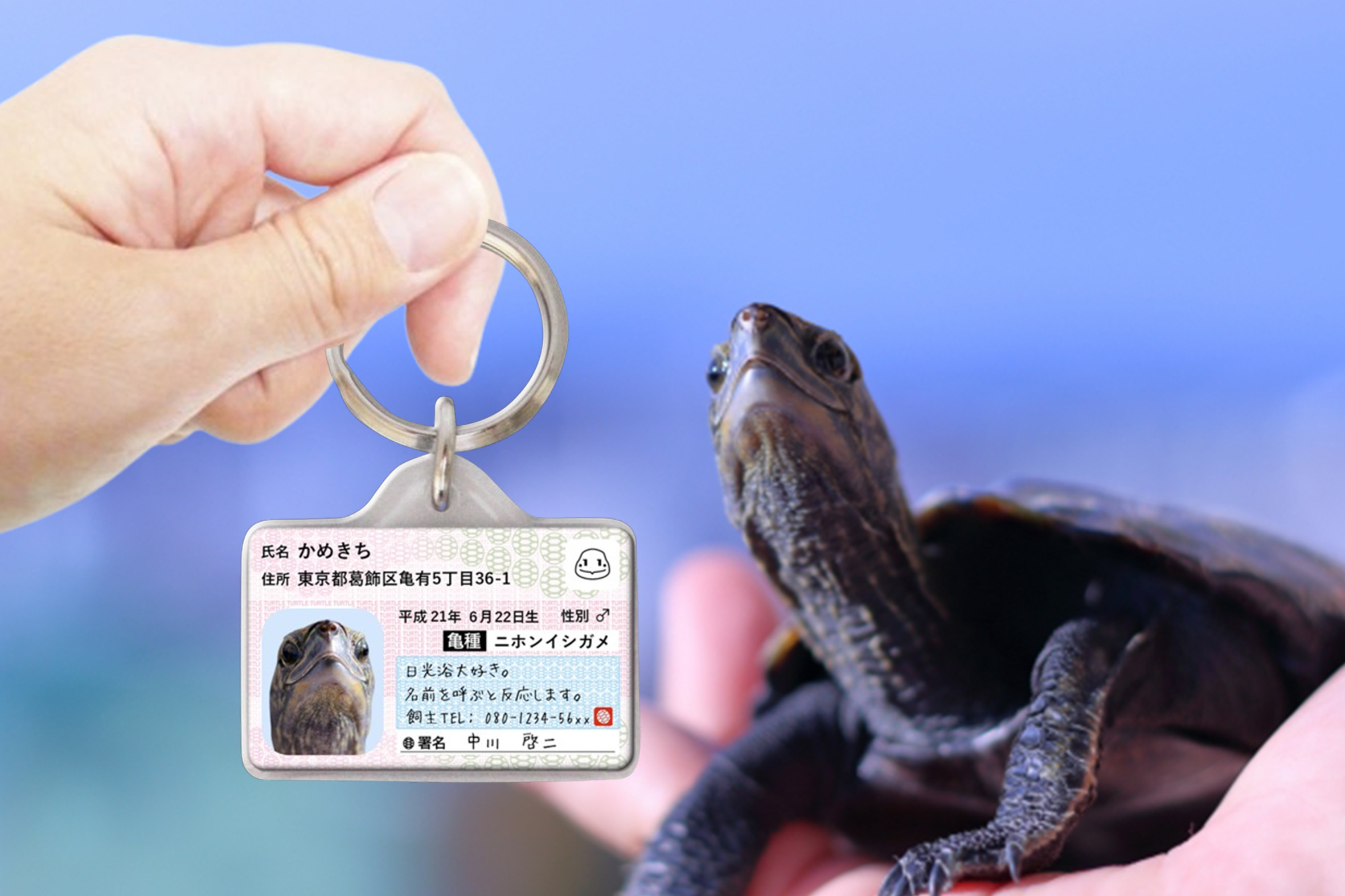 カメナンバー迷子札