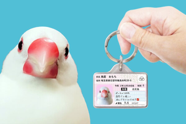 トリナンバー迷子札