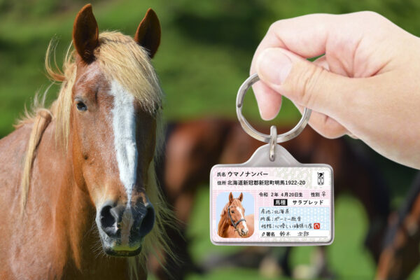 ウマナンバー迷子札