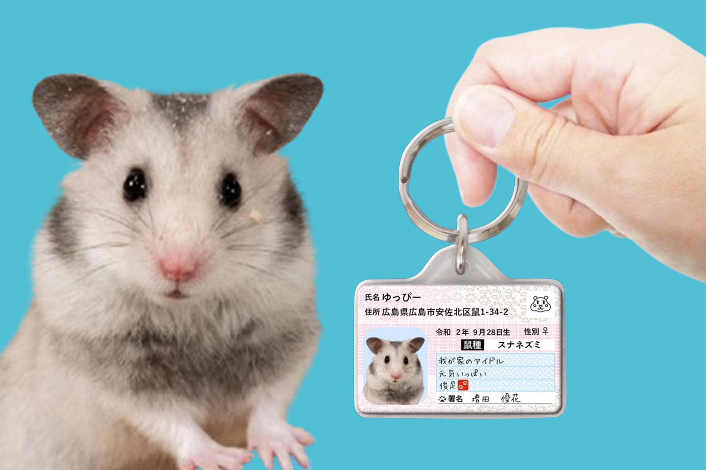 ハムナンバー迷子札