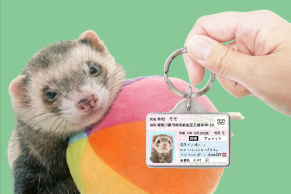 フェレナンバー迷子札